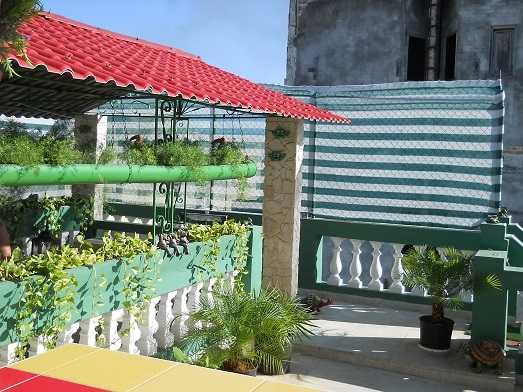 'Roof terrace' Casas particulares are an alternative to hotels in Cuba.